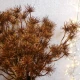 Metallic Artificial Witch Hazel Bronze 53cm - X21031 BAY2B