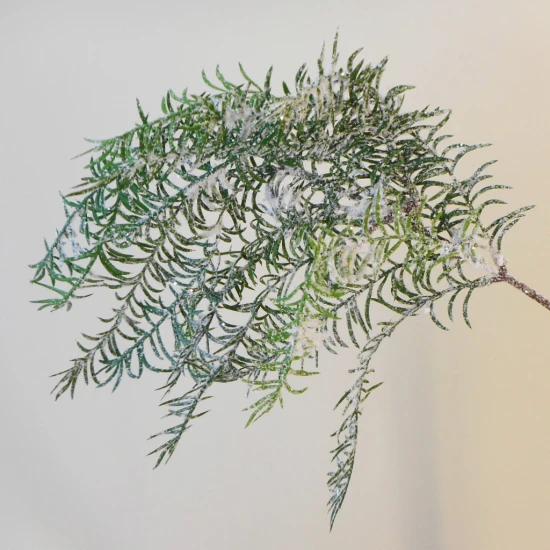 Snowy Christmas Cedar Asparagus Trailing - X21061 BAY4C