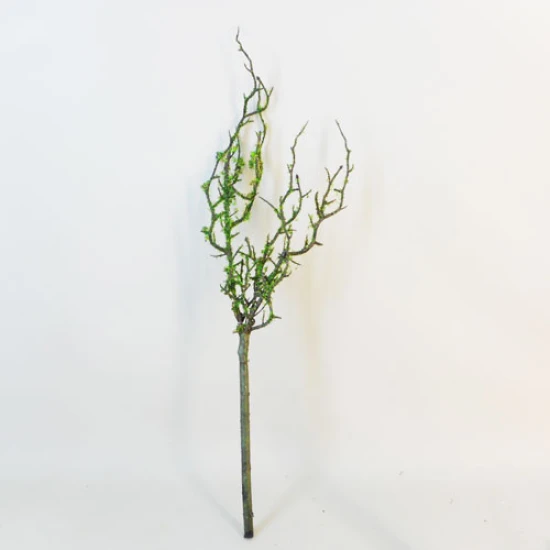 Artificial Branch Moss Covered 56cm - 18X047