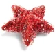 Polystyrene Stars 20cm 2 Pack - POL003 B/C