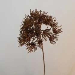Dill Flower Bronze Glitter 53cm - X21035 BAY4B