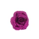 Christmas Clip on Glitter Rose Hot Pink 16cm - X22049