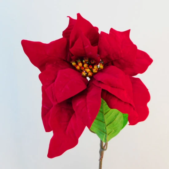 Deluxe Christmas Poinsettias Red Velvet - X19003 BAY1C