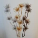 Metallic Artificial Witch Hazel Bronze 53cm - X21031 BAY2B