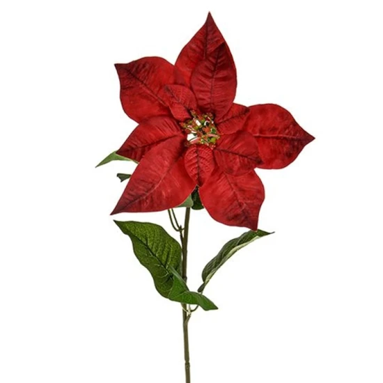 Red Velvet Poinsettia - X22004 