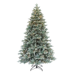 7ft Canadian Blue Green Spruce Prelit Christmas Tree 600 LED Lights - X24009 