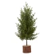 Small Christmas Fir Tree in Wood Log 38cm - X24034 BAY3B
