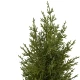 Small Christmas Fir Tree in Wood Log 38cm - X24034 BAY3B