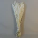 Dried Avena Oats Bleached - DRI023A