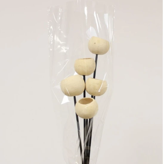 Dried Bell Cups Bunch - DRI032 II1