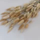 Dried Bunny Tails - DRI005 HH2