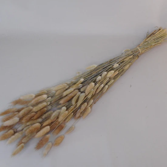 Dried Bunny Tails - DRI005 HH2