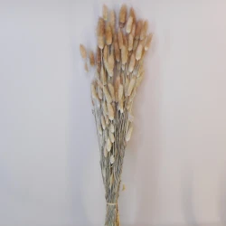 Dried Bunny Tails - DRI005 HH2