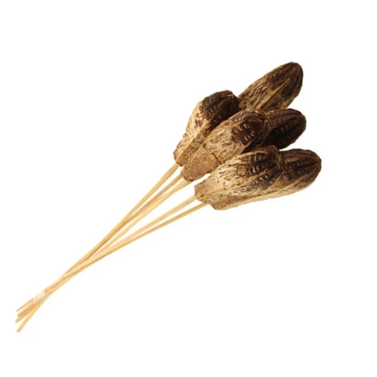 Dried Mahogany Seed Pods - DRI040 GG3