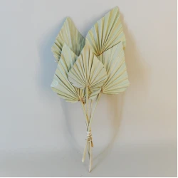 Dried Palm Spears 5 Pack - DRI006 GG3