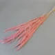 Dried Pampas Grass Pink 75cm - DRI018 HH2