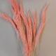 Dried Pampas Grass Pink 75cm - DRI018 HH2