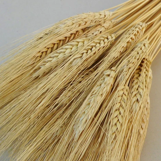 Mixed Dried Flowers Bouquet Neutral - DRI015