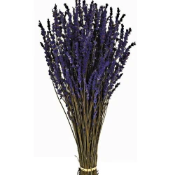 Preserved Lavender 150g - DRI012