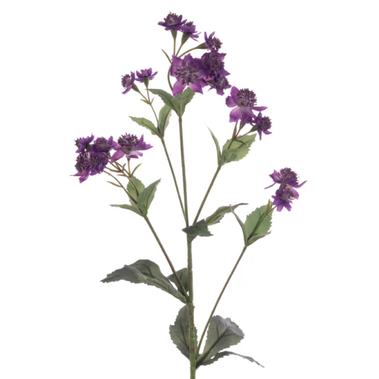 Eco Artificial Astrantia Purple 77cm - A035 KK2
