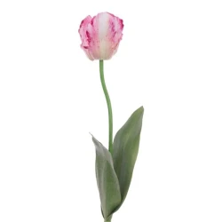 Eco Artificial Parrot Tulip Pink and White 63cm - T047 KK2