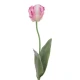 Eco Artificial Parrot Tulip Pink and White 63cm - T047 KK2