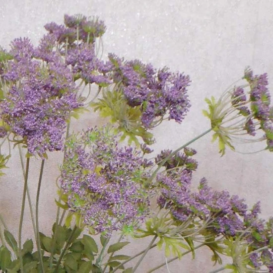 Anethum Purple 90cm - A005a A1