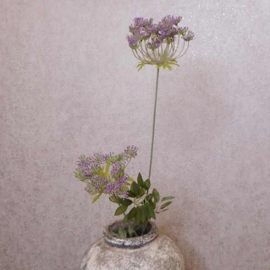 Anethum Purple 90cm - A005a A1