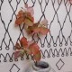Artificial Apple Leaves Autumn Red 85cm - APP002 GG4