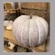 Artificial Pumpkin Large Grey 30cm - PUM021