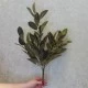 Faux Bay Leaves Plant 53cm - ROS002 U1
