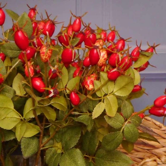 Artificial Rosehips 55cm - R243 P3