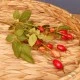 Artificial Rosehips 55cm - R243 P3