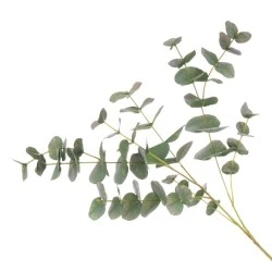 Faux Eucalyptus Stem Green 90cm - EUC030 