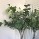 Rydal Artificial Eucalyptus with Seeds 83cm - EUC004 AA2