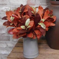 Artificial Ficus Callosa Spray Orange 35cm - FIC012 C2