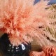 Artificial Pampas Grass Pick x 6 Coral Pink 37cm - PAM029 M3