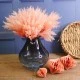 Artificial Pampas Grass Pick x 6 Coral Pink 37cm - PAM029 M3