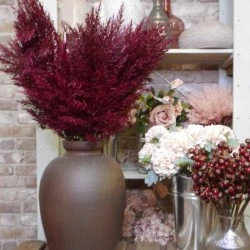 Artificial Pampas Grass Burgundy Red 70cm - PAM011 II1