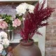 Artificial Pampas Grass Burgundy Red 70cm - PAM011 II1