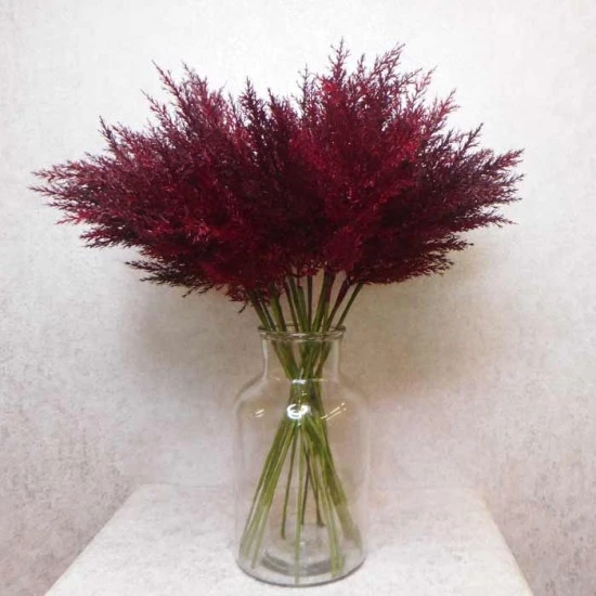 Artificial Pampas Grass Burgundy Red 65cm - PAM008 L3