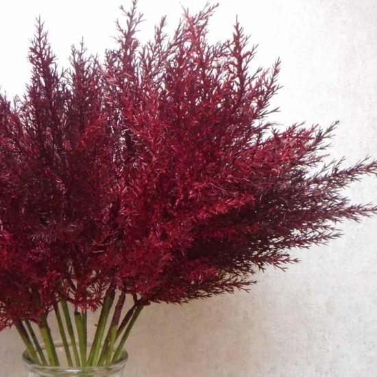 Artificial Pampas Grass Burgundy Red 65cm - PAM008 L3