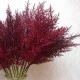 Artificial Pampas Grass Burgundy Red 65cm - PAM008 L3