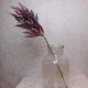 Artificial Pampas Grass Burgundy Red 65cm - PAM008 L3