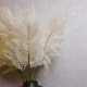 Artificial Pampas Grass Cream 72cm - PAM005 S3