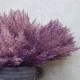 Artificial Pampas Grass Pick x 6 Mauve Purple 37cm - PAM027 L2