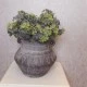 Artificial Shamrocks Plant Green 30cm - SHA001 U4