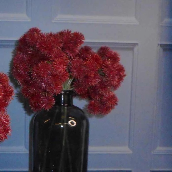 Artificial Echinops Thistle Spray Burgundy 40cm - E003 H3