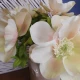 Sorbet Anemones Cream Peach 44cm - A100 A4