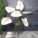 Real Touch Artificial Anthurium Cream 74cm - A132 Q4